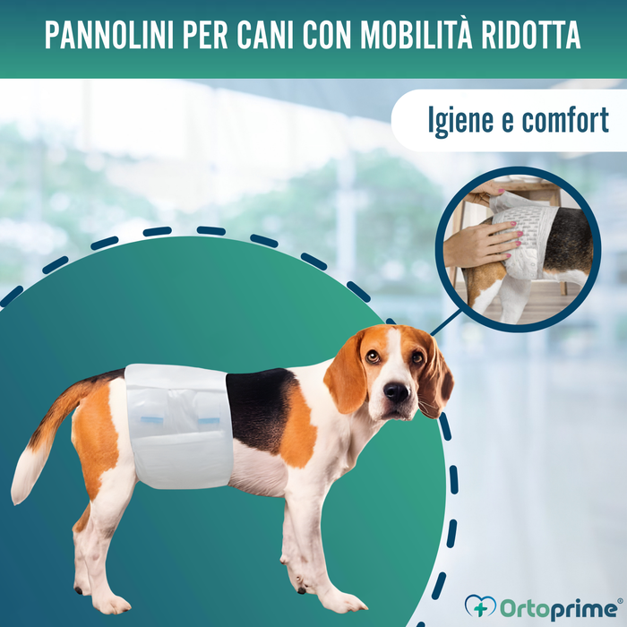 Pannolini per Cane Maschio Ultra Assorbenti | Pack 12
