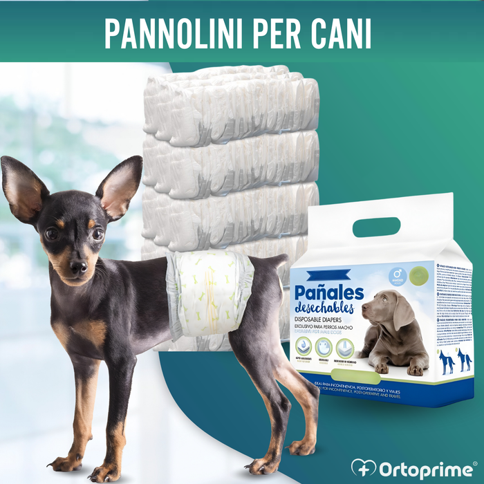 Pannolini per Cane Maschio Ultra Assorbenti | Pack 12