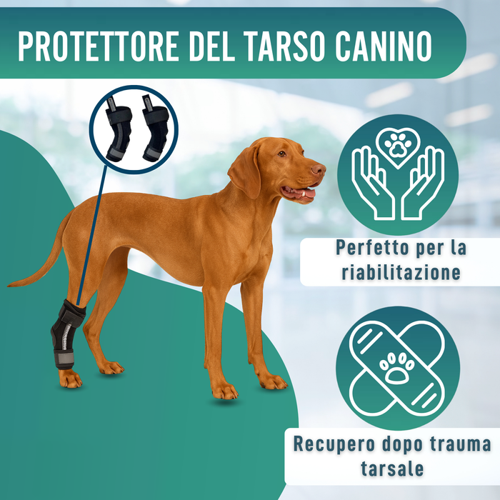 Supporto Tarsale per Cani con Stecche Rimovibili | 2 Pezzi