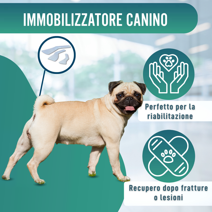 Stecca Rapida per Zampe di Cani e Gatti | 3 Misure