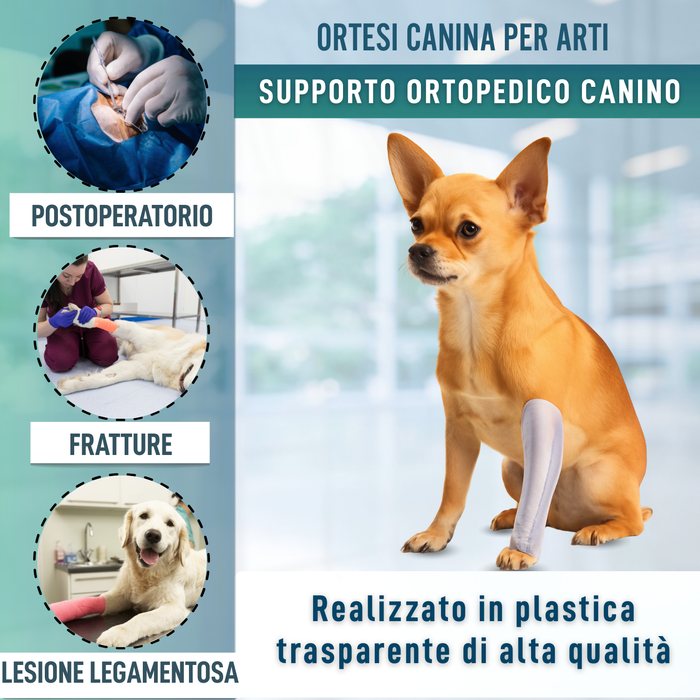 Stecca Rapida per Zampe di Cani e Gatti | 3 Misure