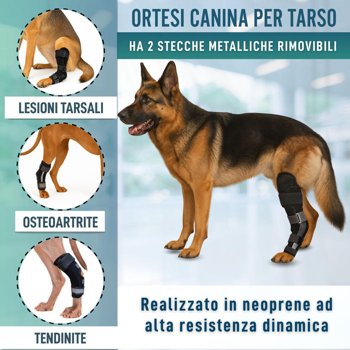 Supporto Tarsale per Cani con Stecche Rimovibili | 2 Pezzi
