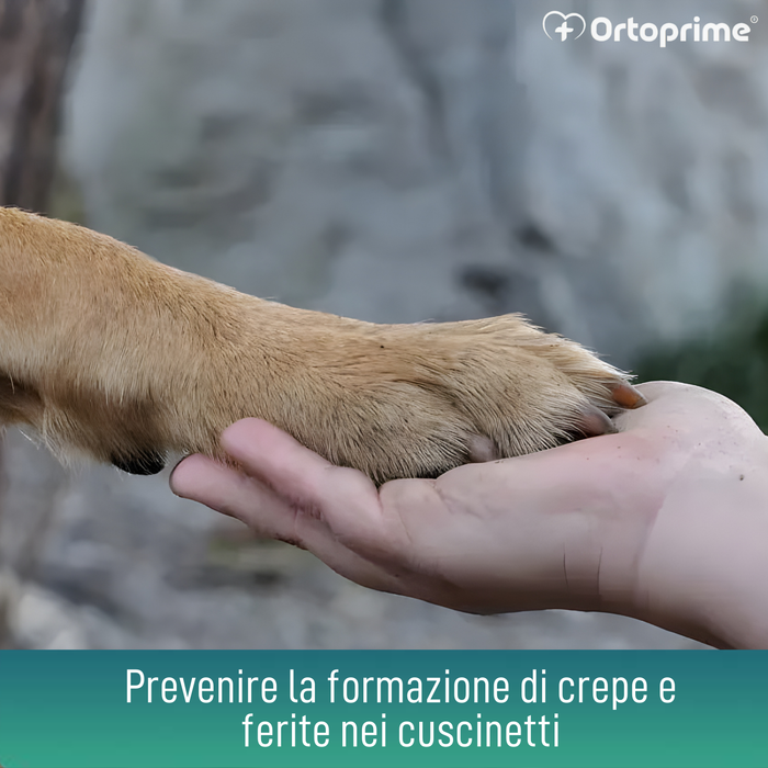 Gel Protettivo per Cuscinetti Cane | Aloe Vera 50 ml