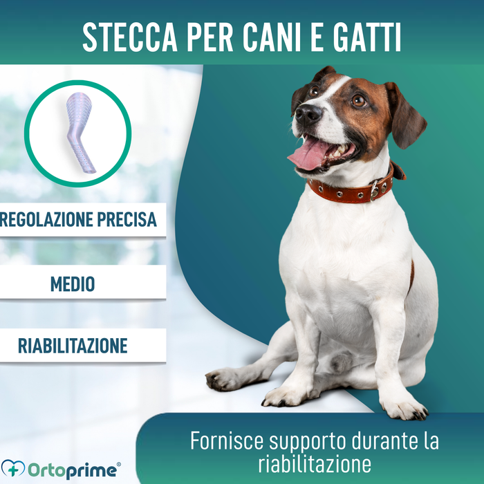 Stecca Rapida per Zampe di Cani e Gatti | 3 Misure