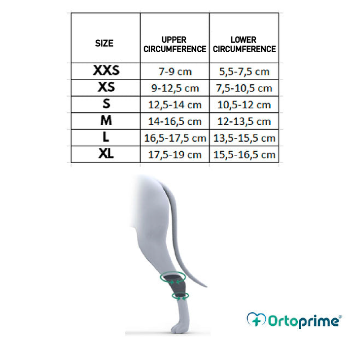 Supporto alla Caviglia Regolabile per Cani | Per Taglie