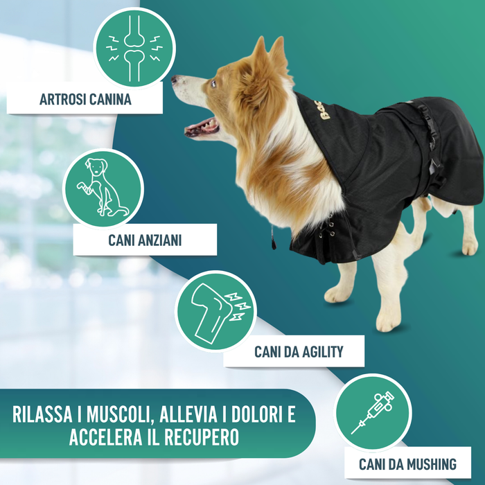 Cappotto Termico Impermeabile per Cani | Back on Track