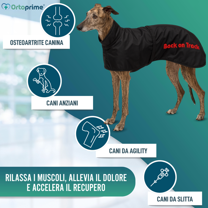 Cappotto Termico Impermeabile per Galgo | 2 Taglie