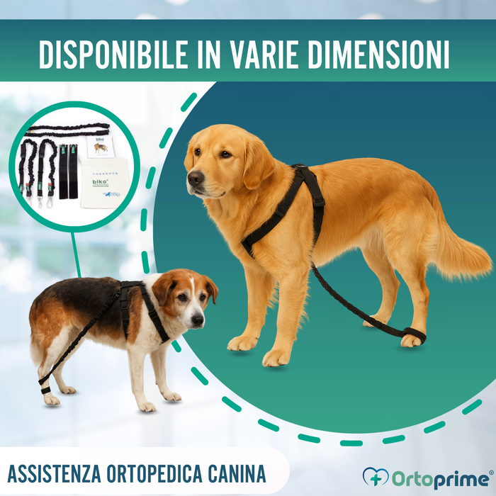 Dispositivo per Atassia Canina | Assistenza per Cani