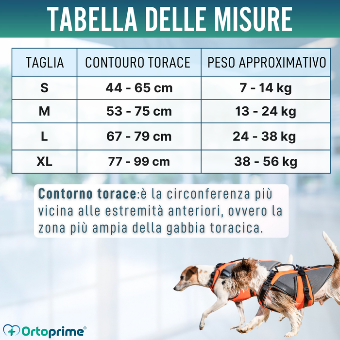 Imbracatura per Riabilitazione Completa per Cani | Materiale 3D