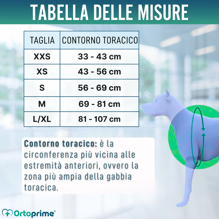 Imbracatura Canina Multiuso per Sollevamento | Struttura Robusta