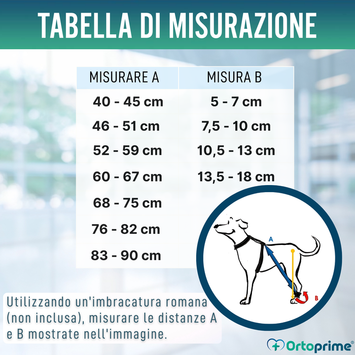 Dispositivo per Atassia Canina | Assistenza per Cani