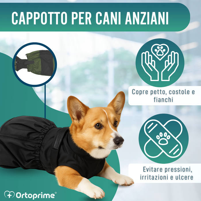 Cappotto in Nylon per Cani con Mobilità Ridotta | 6 Taglie