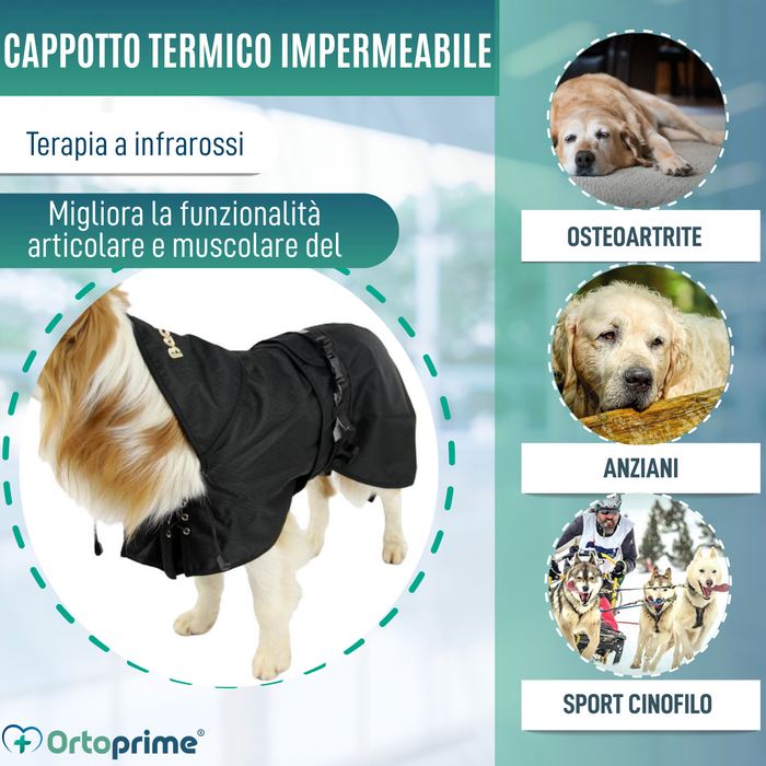 Cappotto Termico Impermeabile per Cani | Back on Track