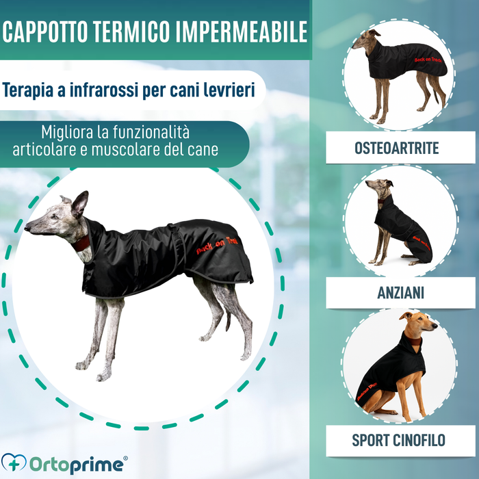 Cappotto Termico Impermeabile per Galgo | 2 Taglie