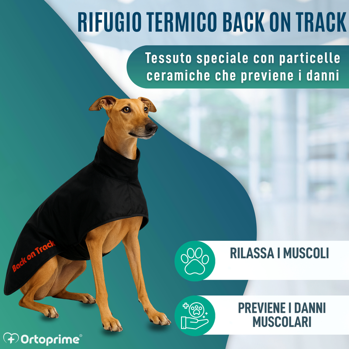 Cappotto Termico Impermeabile per Galgo | 2 Taglie