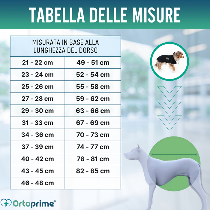 Cappotto Termico Impermeabile per Cani | Back on Track