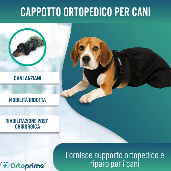 Cappotto in Nylon per Cani con Mobilità Ridotta | 6 Taglie