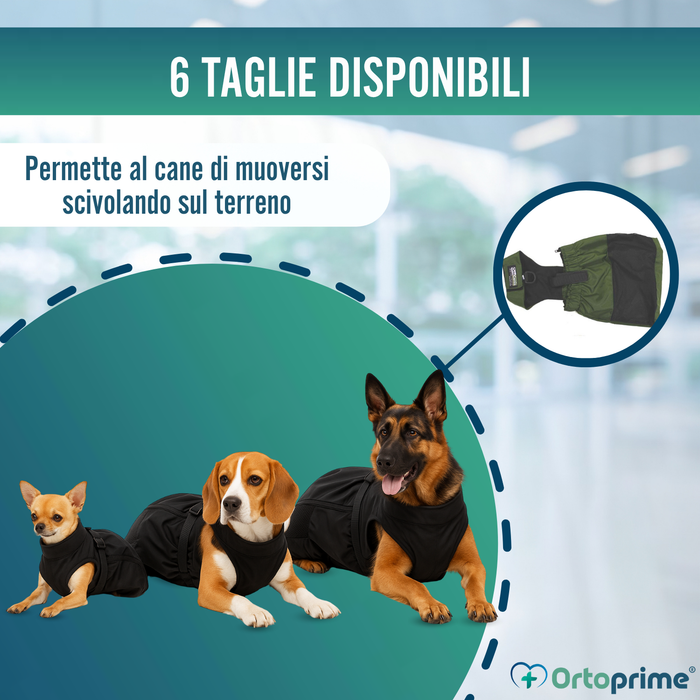 Cappotto in Nylon per Cani con Mobilità Ridotta | 6 Taglie