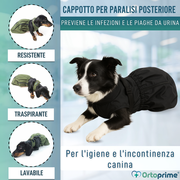 Cappotto in Nylon per Cani con Mobilità Ridotta | 6 Taglie