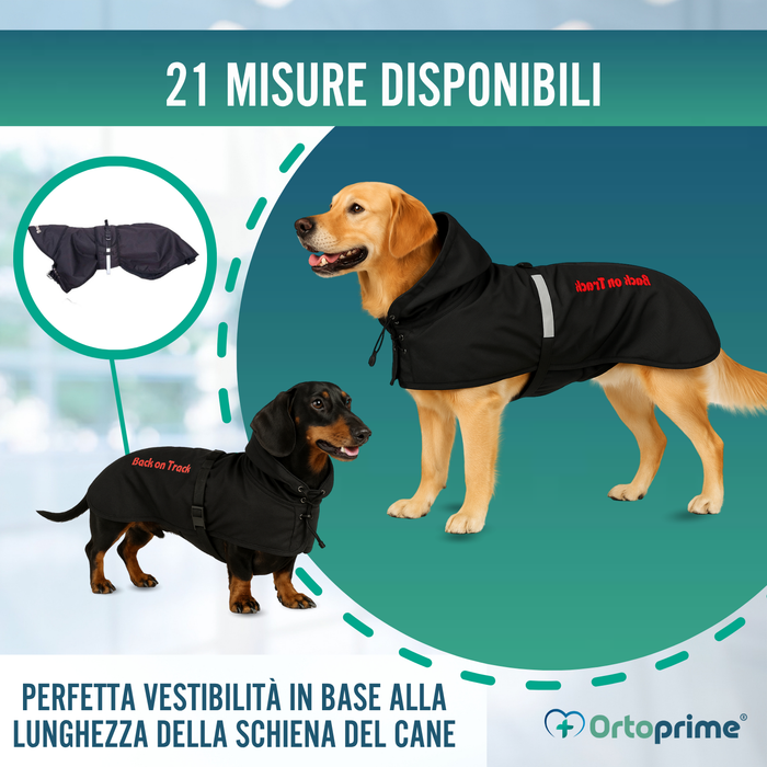Cappotto Termico Impermeabile per Cani | Back on Track