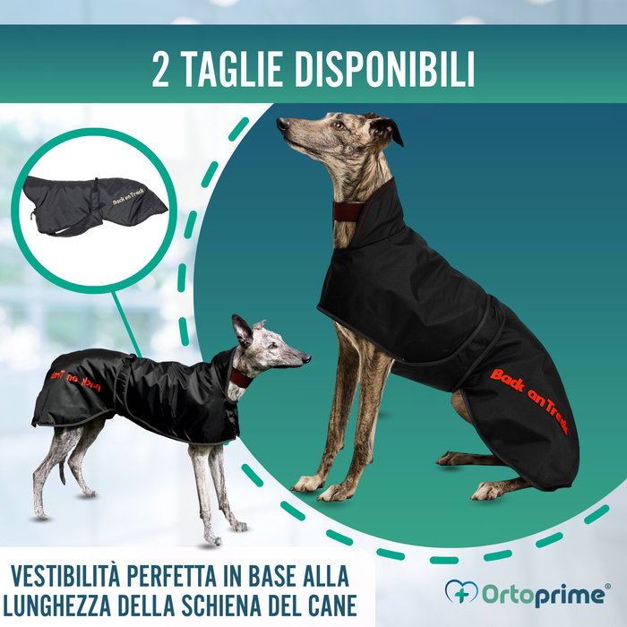 Cappotto Termico Impermeabile per Galgo | 2 Taglie
