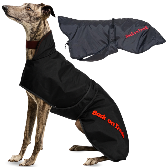 Cappotto Termico Impermeabile per Galgo | 2 Taglie