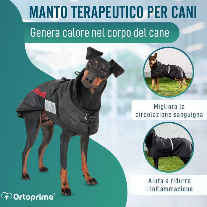 Cappotto Termico Impermeabile per Cani | Back on Track