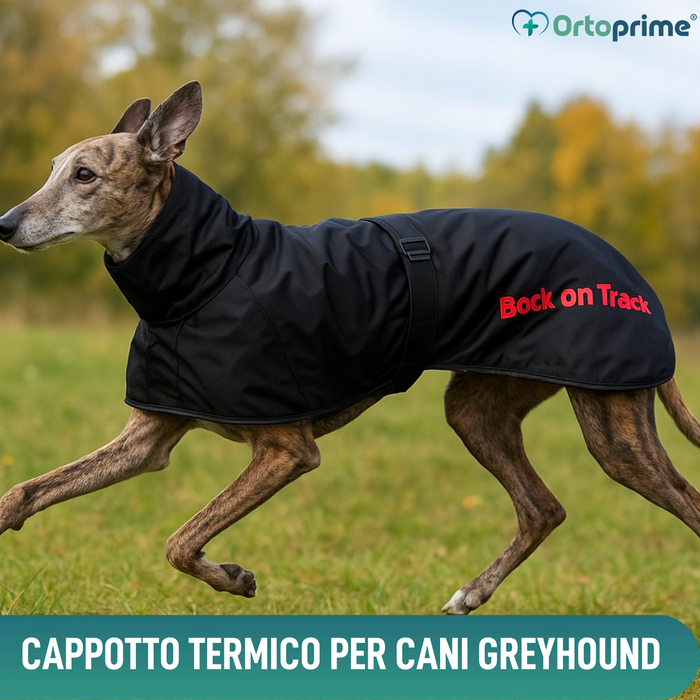 Cappotto Termico Impermeabile per Galgo | 2 Taglie