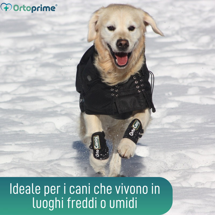 Cappotto Termico Impermeabile per Cani | Back on Track