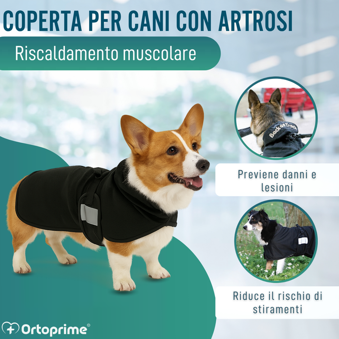 Coperta Terapeutica per Cani Back on Track | 21 Misure