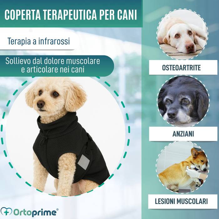 Coperta Terapeutica per Cani Back on Track | 21 Misure