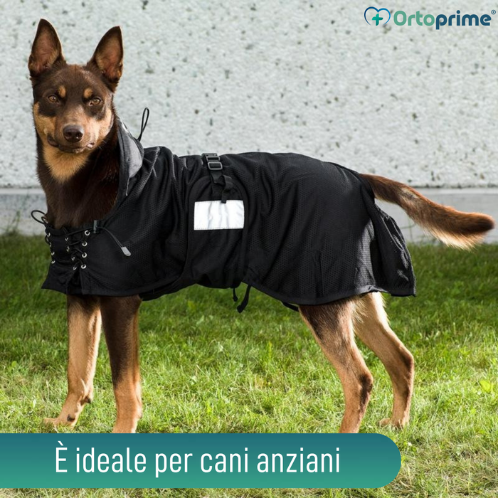 Coperta Terapeutica per Cani Back on Track | 21 Misure