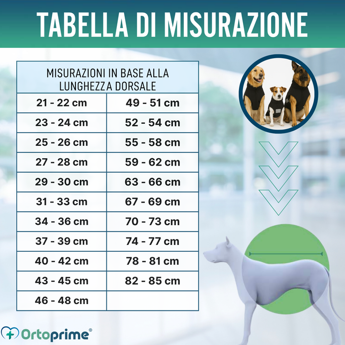 Coperta Terapeutica per Cani Back on Track | 21 Misure