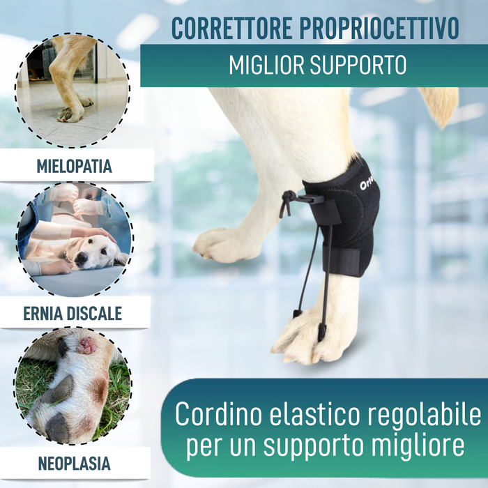 Correttore Proprioceptivo per Cani con Knuckling | 5 Misure