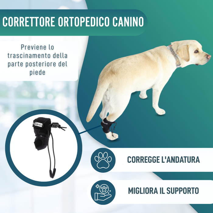 Correttore Proprioceptivo per Cani con Knuckling | 5 Misure