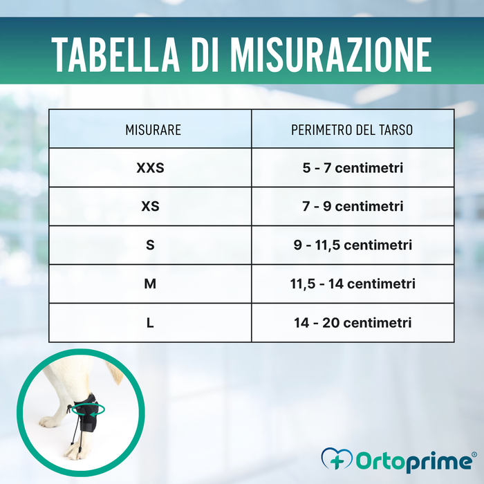 Correttore Proprioceptivo per Cani con Knuckling | 5 Misure