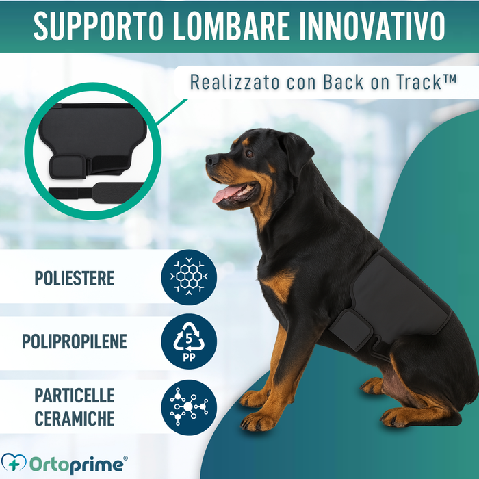 Supporto Termico Canino Back on Track | Fascia per schiena