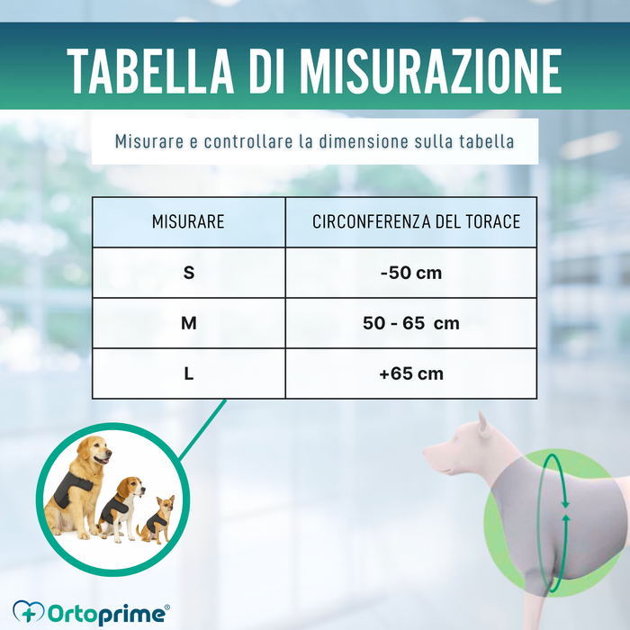 Supporto Termico Canino Back on Track | Fascia per schiena