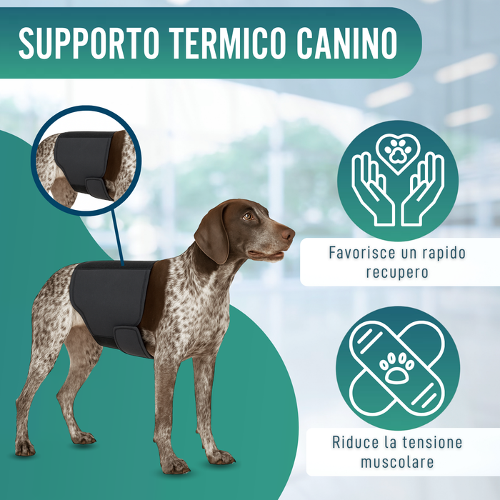 Supporto Termico Canino Back on Track | Fascia per schiena