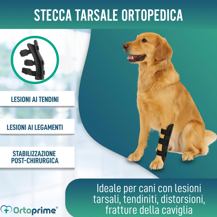 Férula Ortopedica per Cani con Lesioni al Tarso e Caviglia