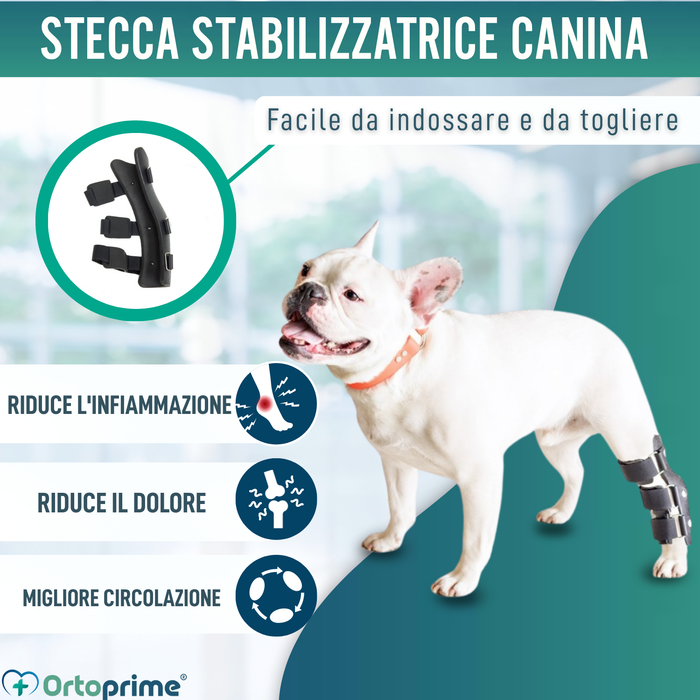 Férula Ortopedica per Cani con Lesioni al Tarso e Caviglia