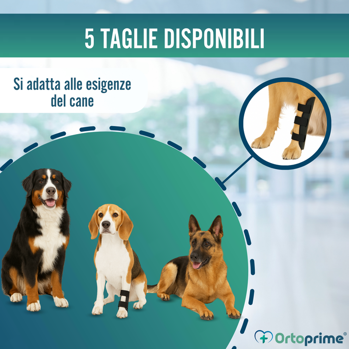 Férula Ortopedica per Cani con Lesioni al Tarso e Caviglia