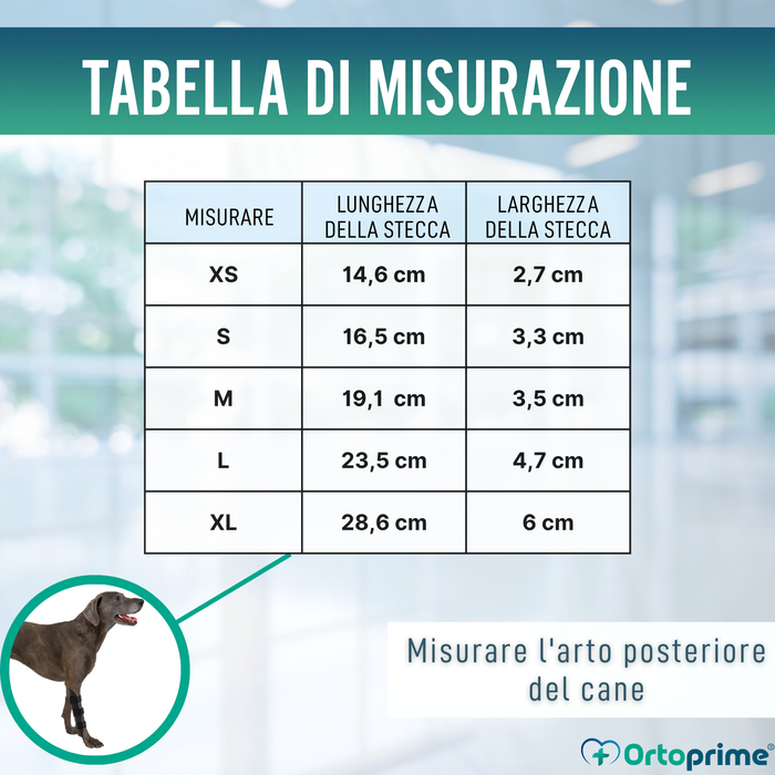 Férula Ortopedica per Cani con Lesioni al Tarso e Caviglia
