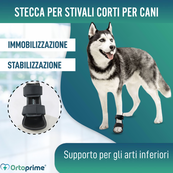Tutore a Stivaletto per Cani con Knuckling | 5 Taglie