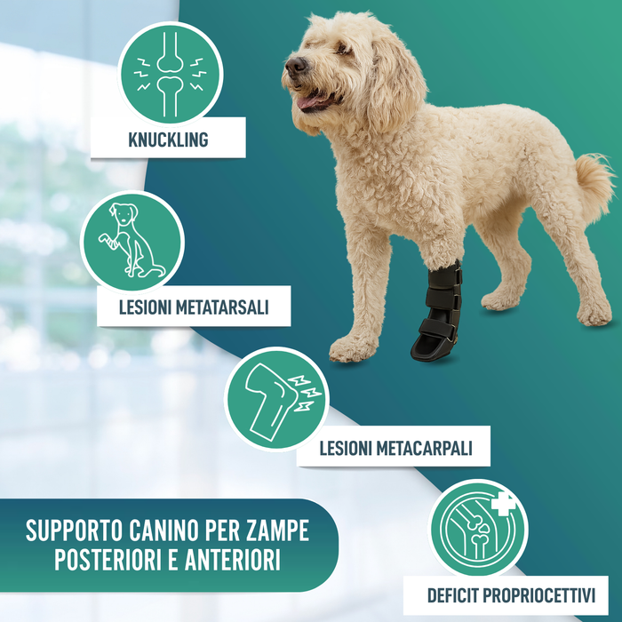 Tutore a Stivaletto per Cani con Knuckling | 5 Taglie