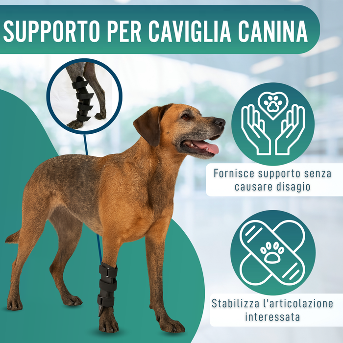 Férula Ortopedica per Cani con Lesioni al Tarso e Caviglia