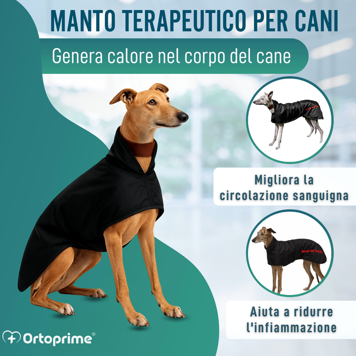 Cappotto Termico Impermeabile per Galgo | 2 Taglie