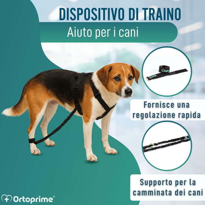 Dispositivo per Atassia Canina | Assistenza per Cani