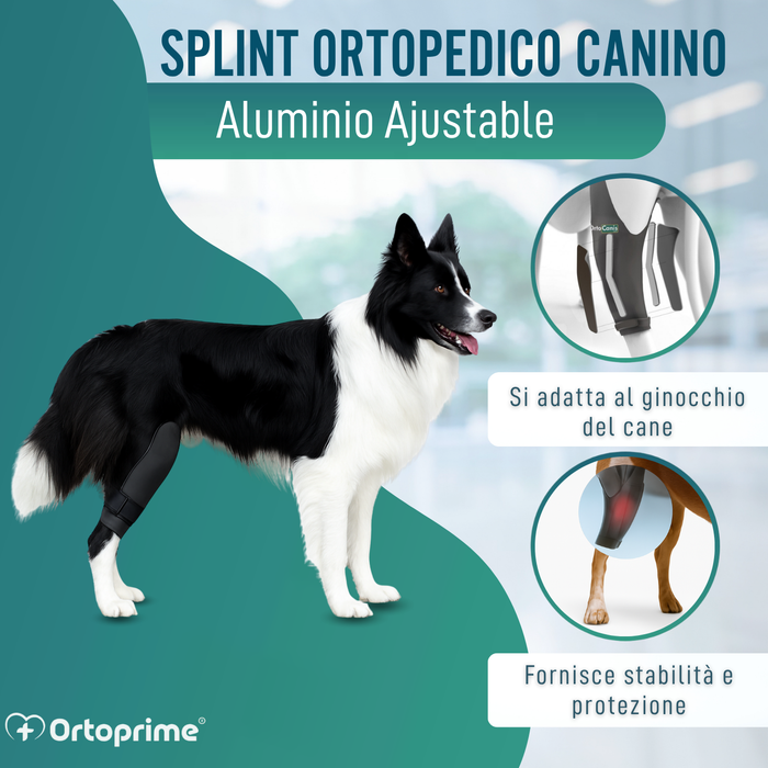 Immobilizzatore per Ginocchio per Cani in Neoprene | 9 Taglie