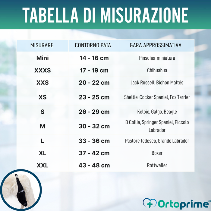 Immobilizzatore per Ginocchio per Cani in Neoprene | 9 Taglie
